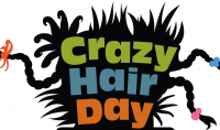 CrAzY hAiR dAy! 